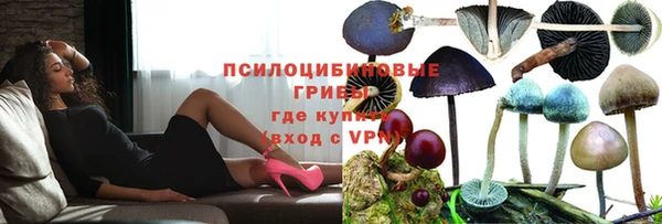 spice Лабытнанги
