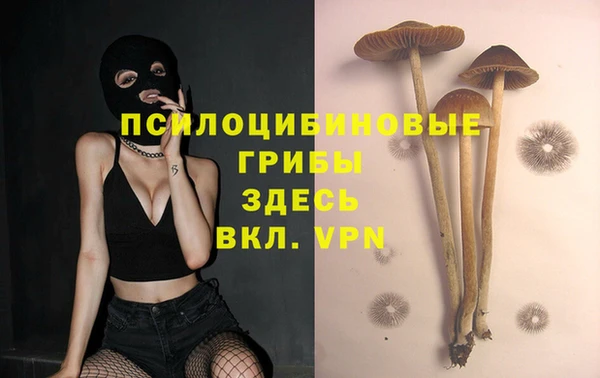 мет Ладушкин