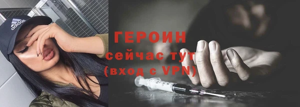 индика Новосибирск