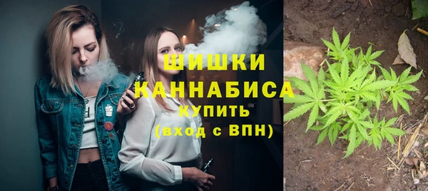 дурь Ессентукская
