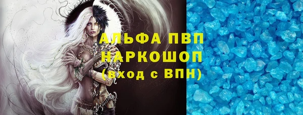 индика Новосибирск