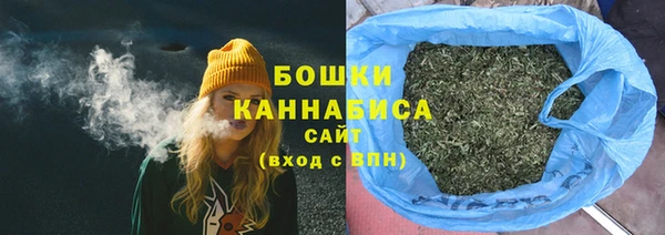 мет Ладушкин