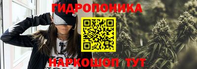 скорость Аргун