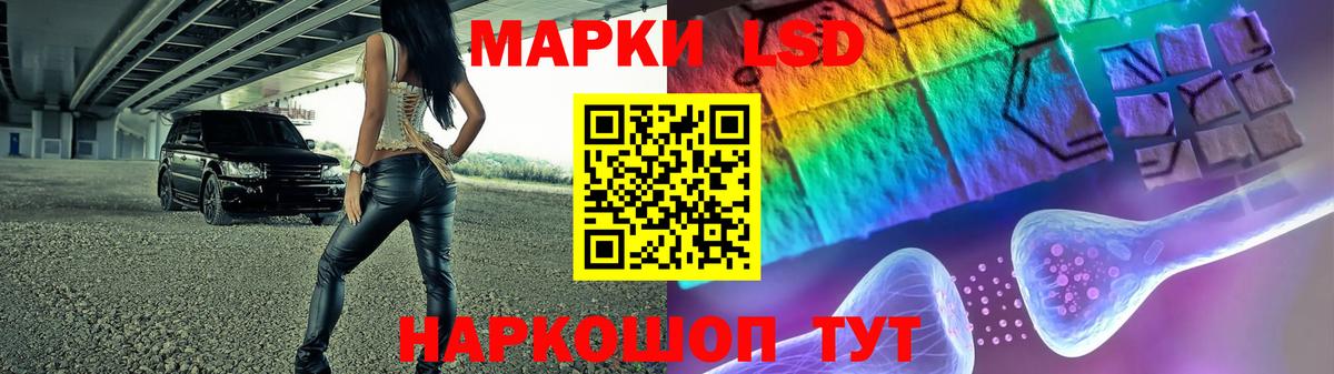 Лсд 25 экстази кислота  LSD-25 экстази кислота  Вход с VPN  Бердск 